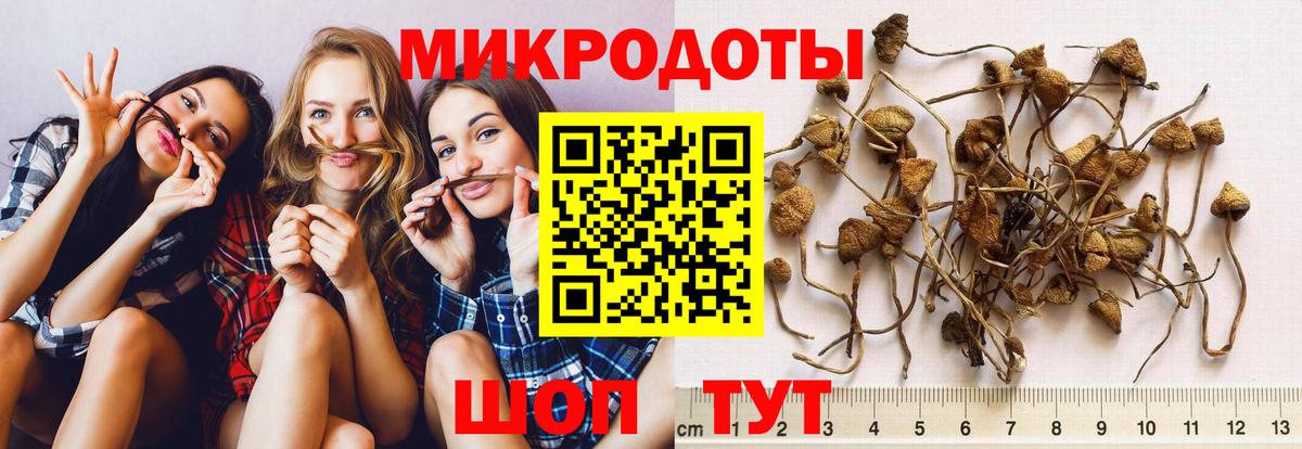 Галлюциногенные грибы мухоморы  Вход с VPN  Оренбург 