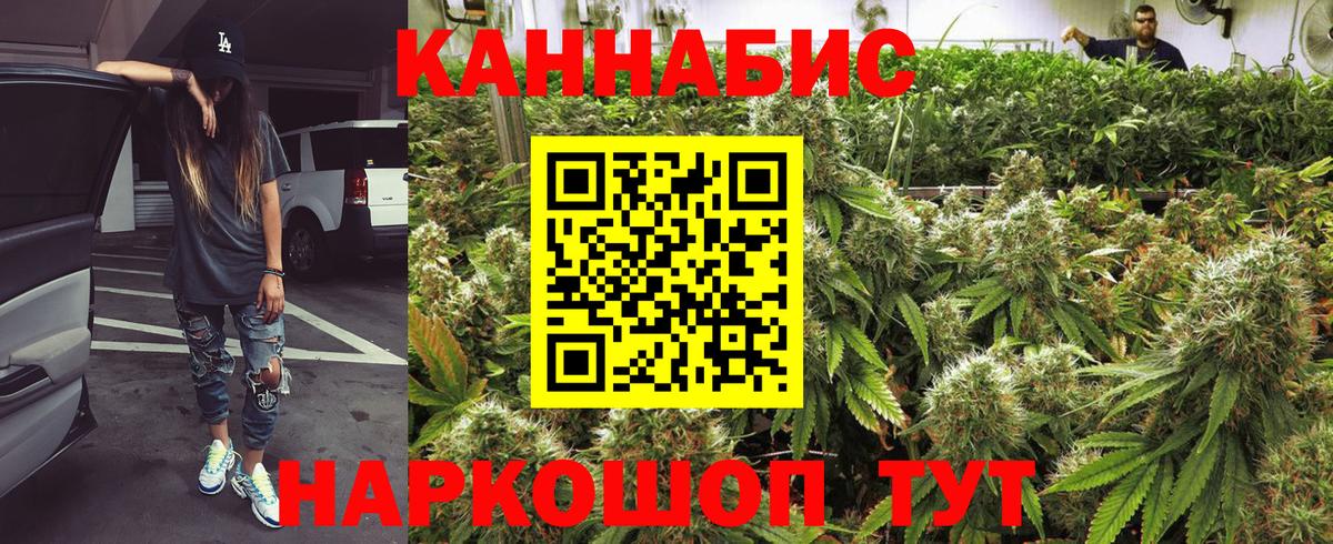 Каннабис OG Kush Оренбург